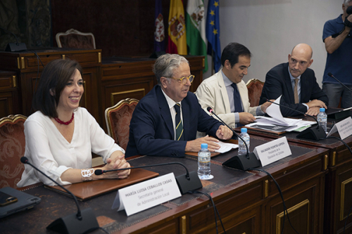 Reunión de expertos para la estrategia frente al desafío demográfico en Andalucía