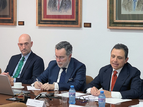 Reconciliar a la empresa andaluza con su entorno. Propuestas para una gobernanza corporativa sostenible (BeSUSTAINABLECo)