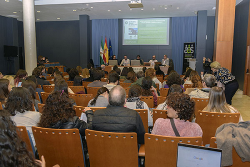 XII Congreso Andaluz de Sociología