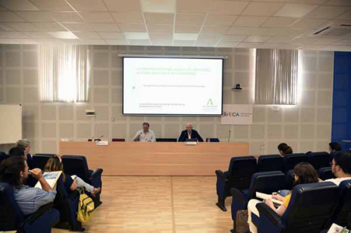 Curso de verano 'La construcción de Andalucía: identidad, actores sociales y autogobierno'
