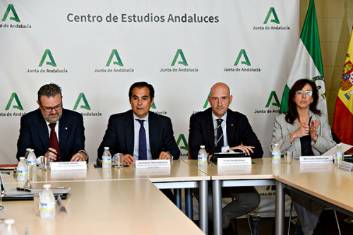 Primera reunión del Comité de expertos frente al Desafío Demográfico de Andalucía