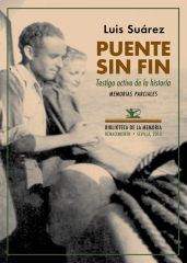 Puente sin Fin. Testigo activo de la historia. Memorias parciales